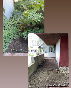 Green Haus und Gartenservice
