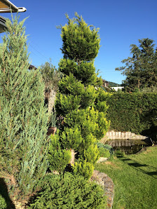 Kays Gartenpflege