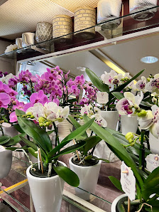 Blumen Paradies Hamm Saritas