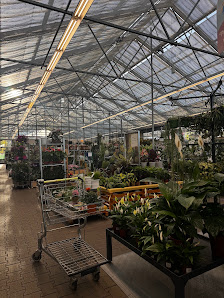Dehner Garten-Center