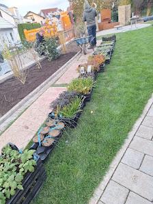 Tuch Gartengestaltung & Pflege