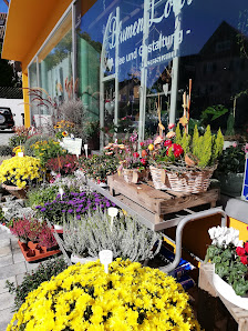 Blumengeschäft Lotos