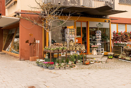 Florem Blumen Trossingen