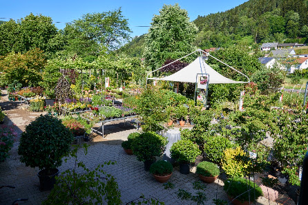 Späth Gartenpflanzen