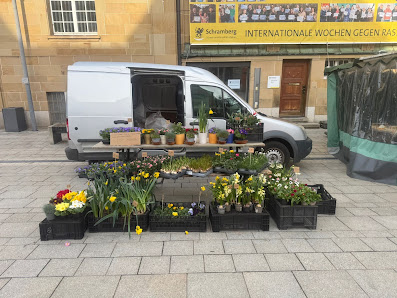 Blumen Ali