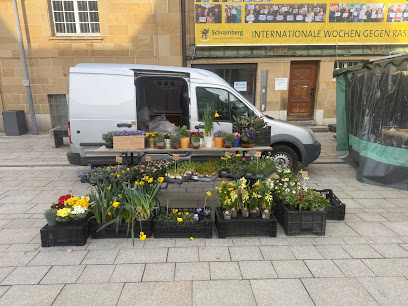 Blumen Ali