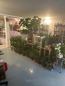 Blumen Sakuramoments