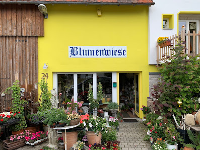Blumenwiese Neuhütten