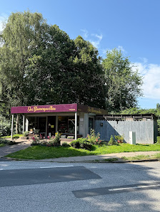 Der Blumenpavillon đ