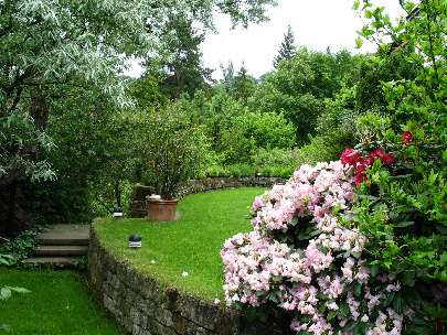 Martin Bücheler, Garten- und Landschaftsbau