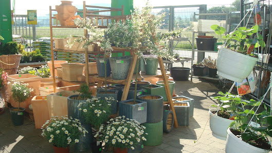 BAGeno Raiffeisen eG