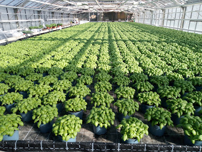 Bio-Landwirtschaftsbetrieb in Hamburg