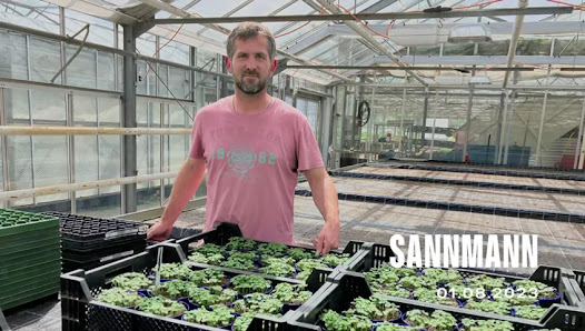 Frank Sannmann Gartenbau