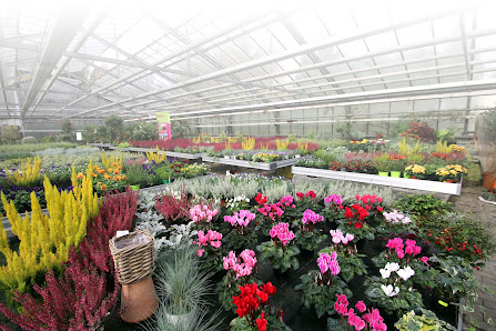 Gärtnerei Blumen Emmerich