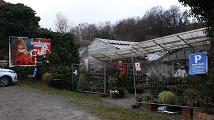 Gärtnerei Blumen Emmerich