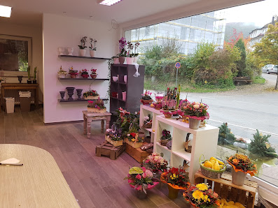 Gärtnerei Blumen Emmerich