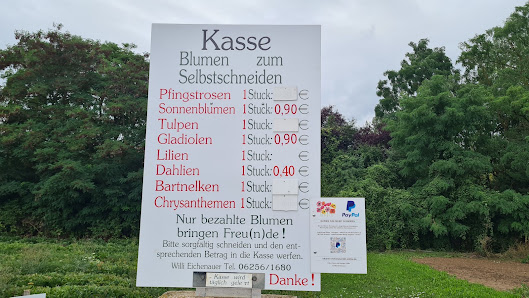 Blumen zum Selbstschneiden