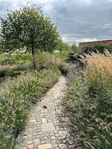 Jung Garten & Landschaft