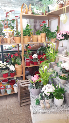 Blumenladen Löwenzahn