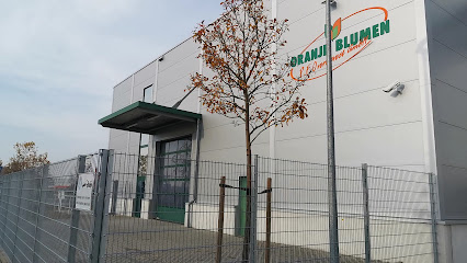 Oranje Blumen