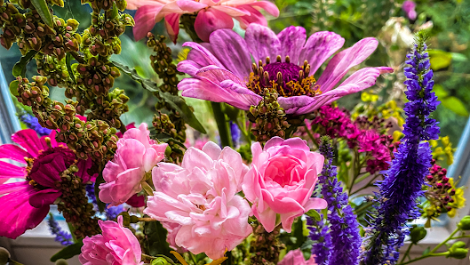 BlumenPavillon Regensburg