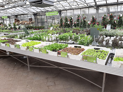 1A Garten Hauner