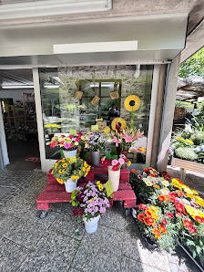 Blumen Weis