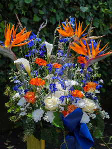 Pusteblume Blumen & Geschenke Erlangen