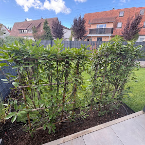 GartenBaumschule Menger eGbR