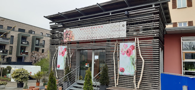 Wassermann Floristik