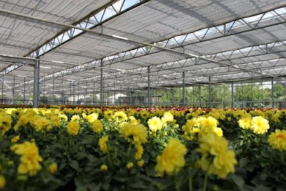 Gartencenter