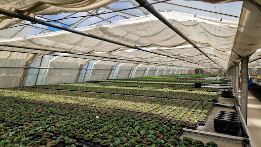 Lurtz Gartenbaubetrieb GmbH