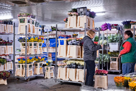 Kwoka Blumen Handels-GmbH