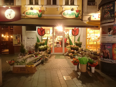Holland Blumen Aschaffenburg