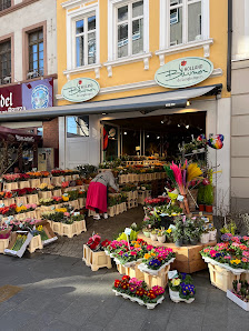 Holland Blumen Aschaffenburg