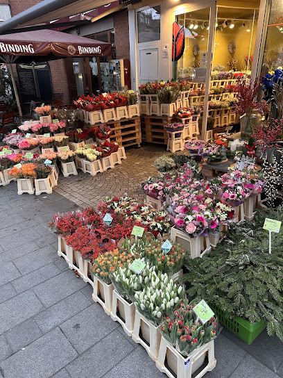 Holland Blumen Aschaffenburg