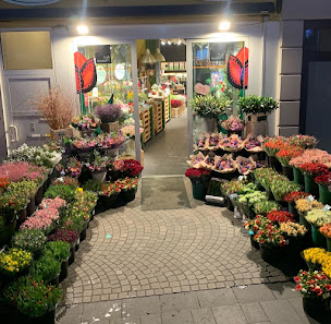 Holland Blumen Aschaffenburg