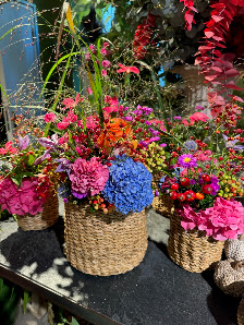HOME flowers Günter Haluszczak e.K.