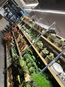BLUME2000 Kempten
