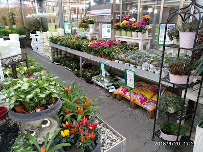 Kutter Gartenbaubetrieb Kempten KG