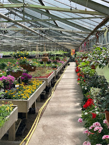 Die Blumenkiste – Christine Herb-Regler