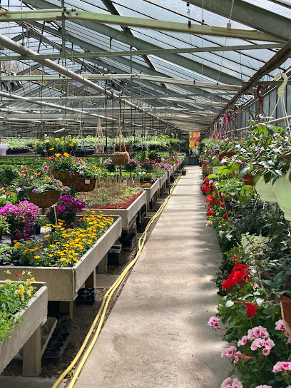 Die Blumenkiste – Christine Herb-Regler