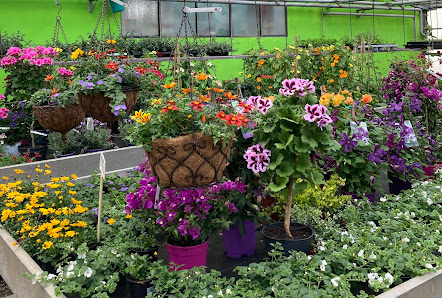 Die Blumenkiste – Christine Herb-Regler