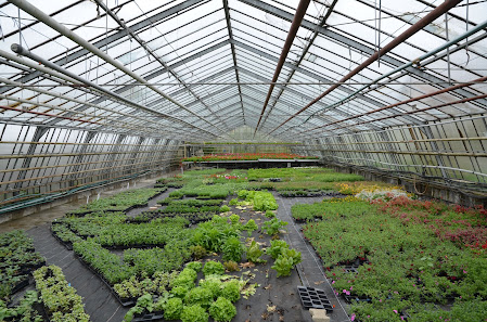 Biogärtnerei Christian Herb