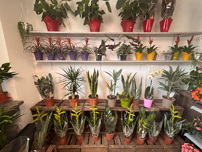 FLORÈ BLUMEN