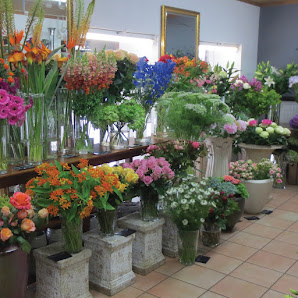Blumen Eder
