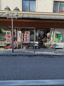 Vergissmeinnicht Stories