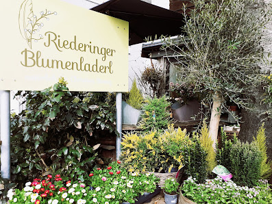 Riederinger Blumenladerl